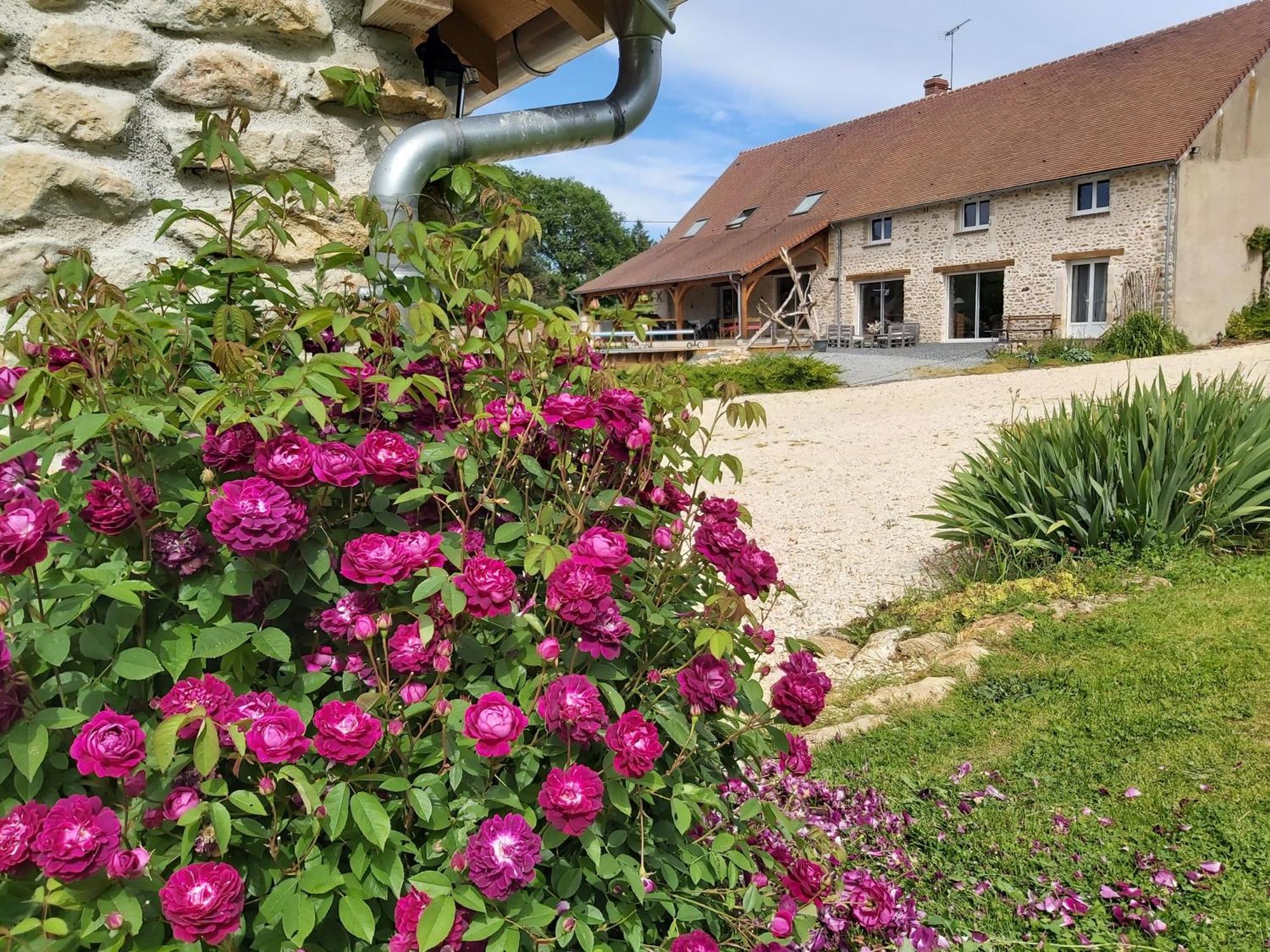 Le Pre De La Rue Bed & Breakfast Bouesse Exterior foto